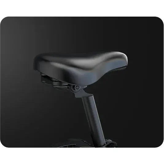 G-Force DE-S 750W 48V Electric Bike  Electric Bikes Paradise