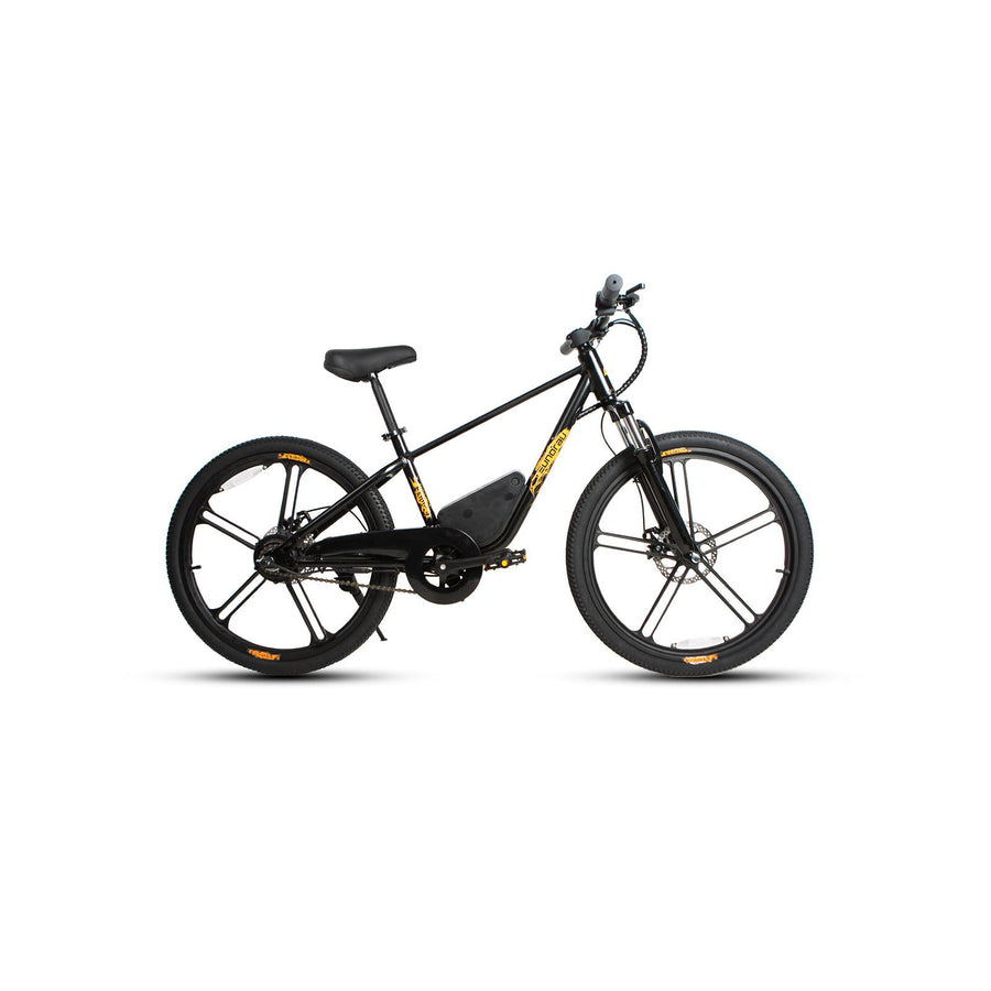 Eunorau EKids24 1.0 Kids Electric Bike