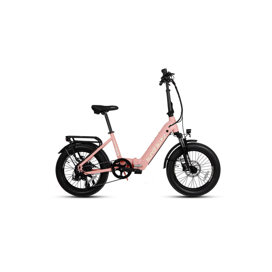 Eunorau Meta20 1.0 Electric City Bike