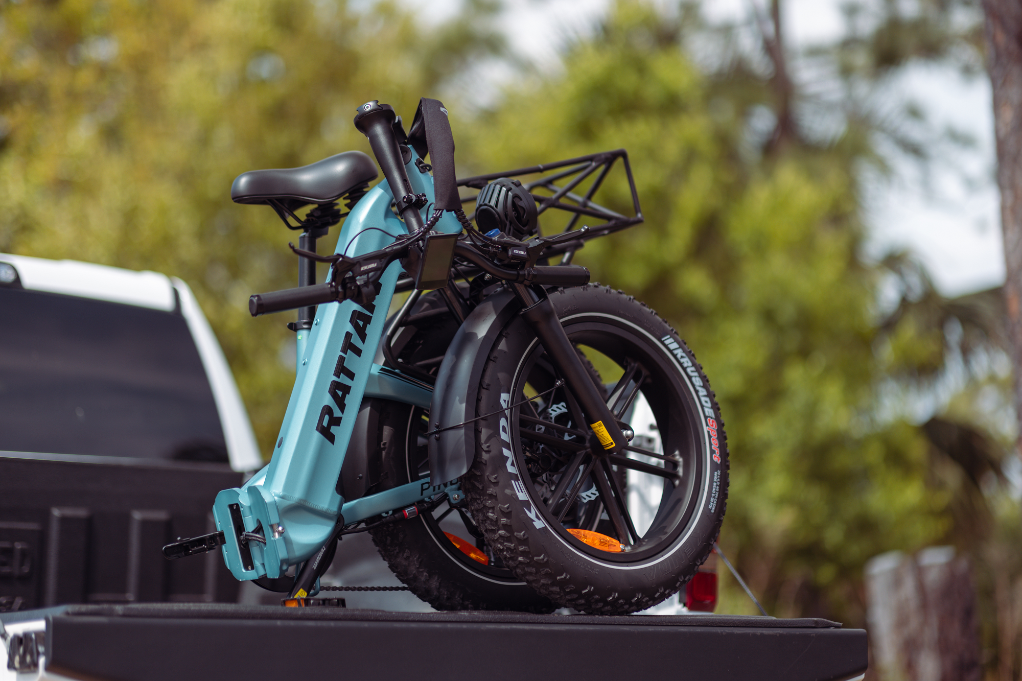 Rattan Pinus Step Thru Folding Fat Tire Electric Bike