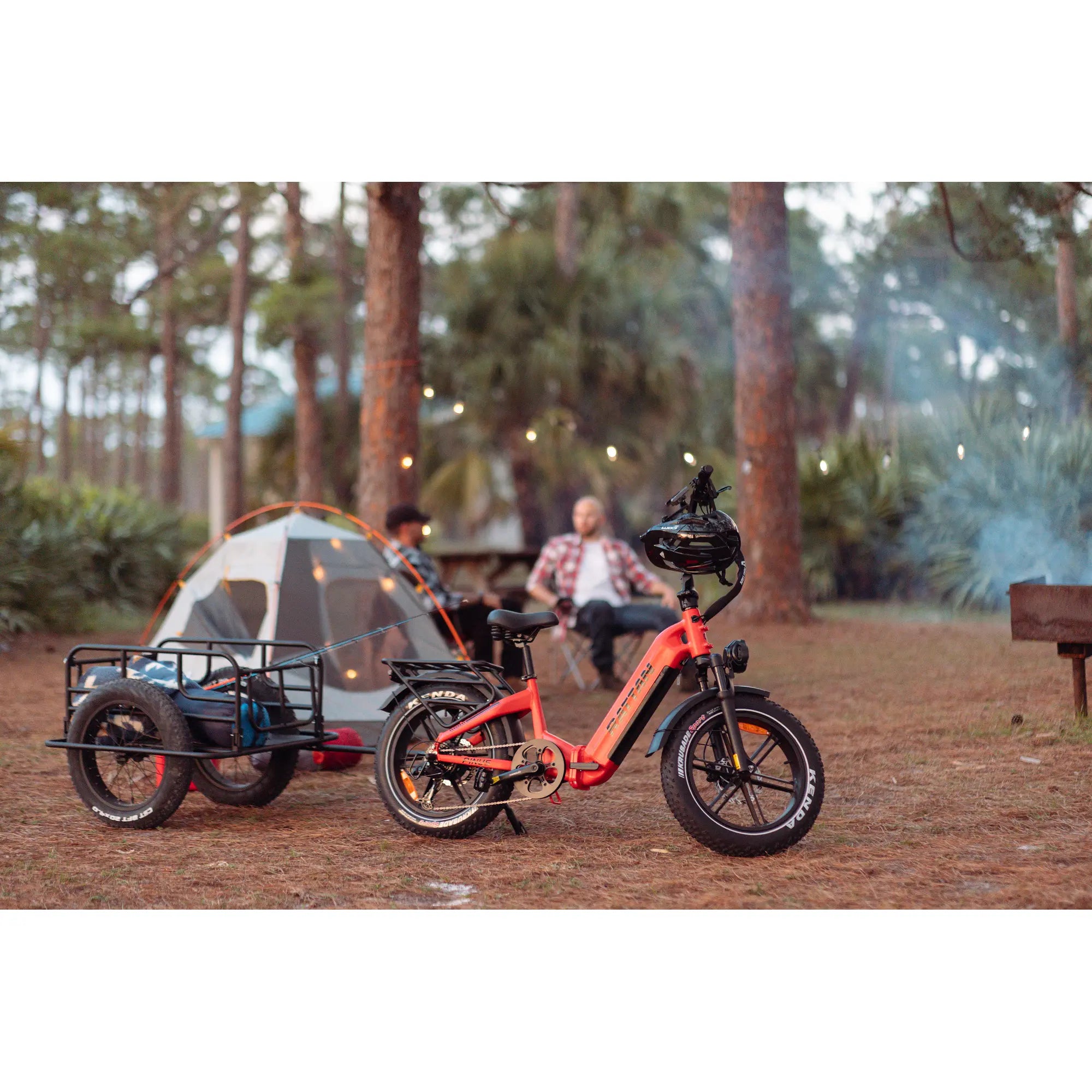 Rattan Pinus Step Thru Folding Fat Tire Electric Bike 