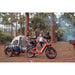 Rattan Pinus Step Thru Folding Fat Tire Electric Bike 