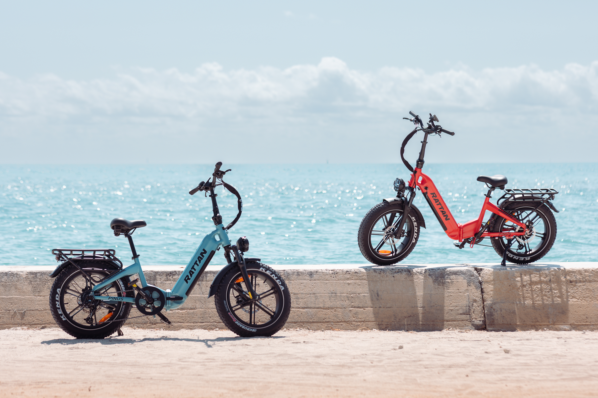 Rattan Pinus Step Thru Folding Fat Tire Electric Bike