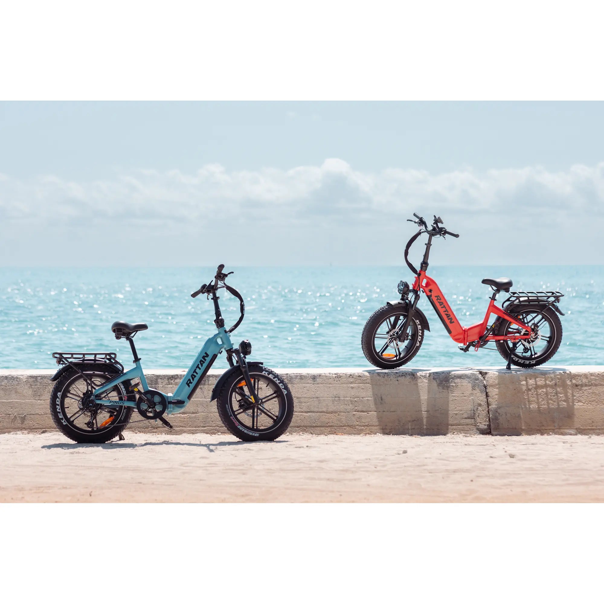 Rattan Pinus Step Thru Folding Fat Tire Electric Bike 
