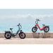 Rattan Pinus Step Thru Folding Fat Tire Electric Bike 