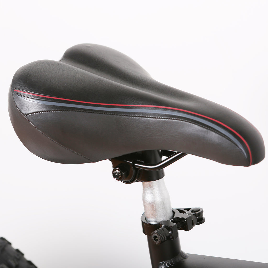Nakto Discovery Fat Tire Folding Electric Bike