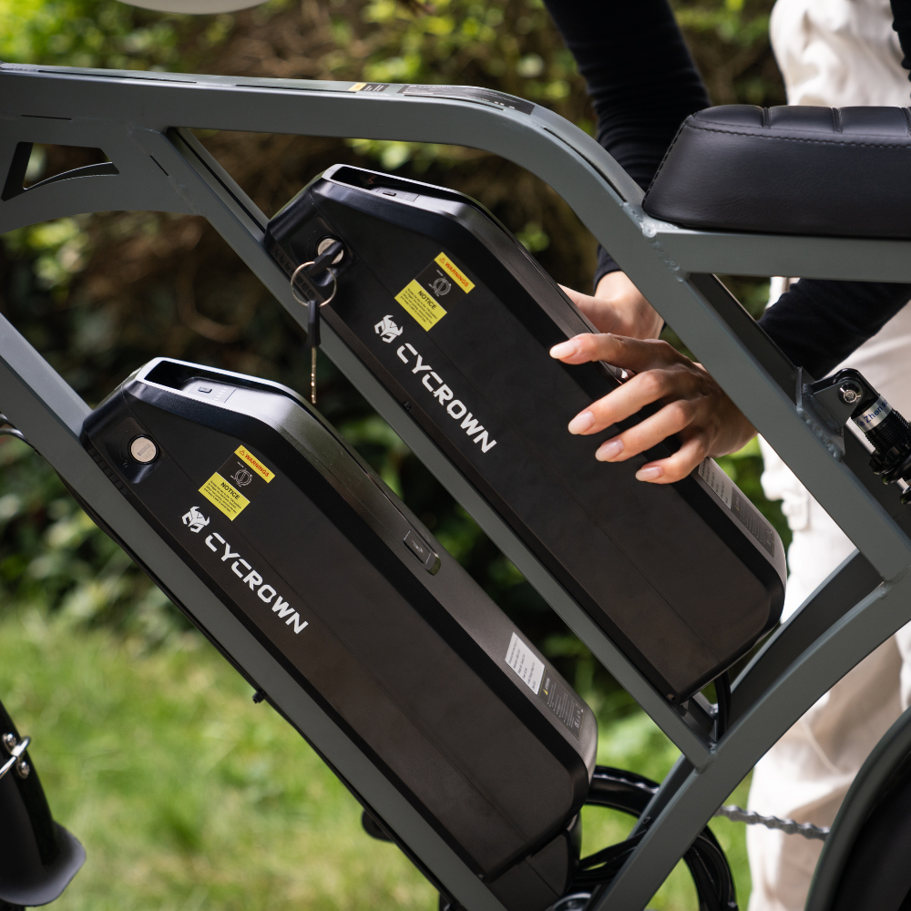Cycrown CycHunter Moped-Style Electric Bike