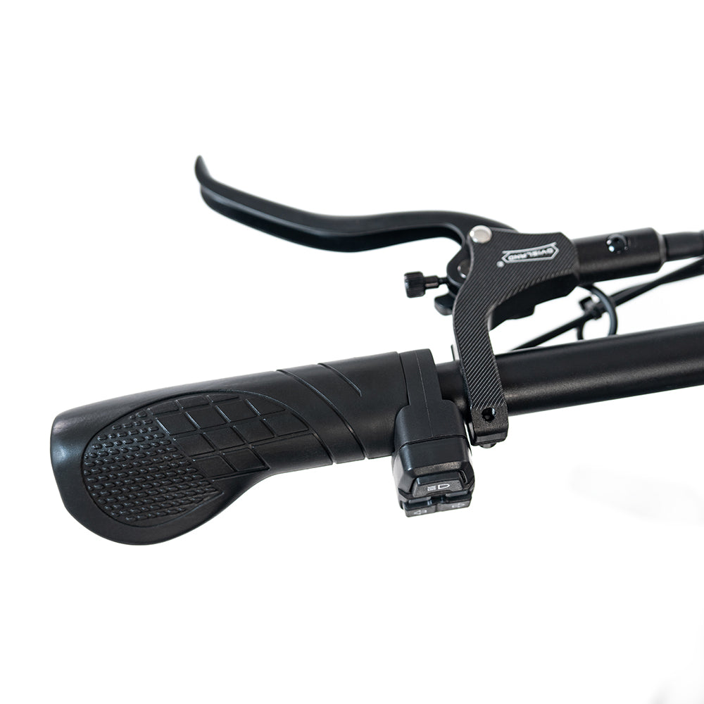 HappyRun Tank G70 2000W Dual Battery Cargo Electric Bike