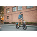 Rattan LM 750 Pro Folding Fat Tire Electric Bike 