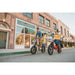 Rattan LF 750 Pro Step Thru Folding Fat Tire Electric Bike 