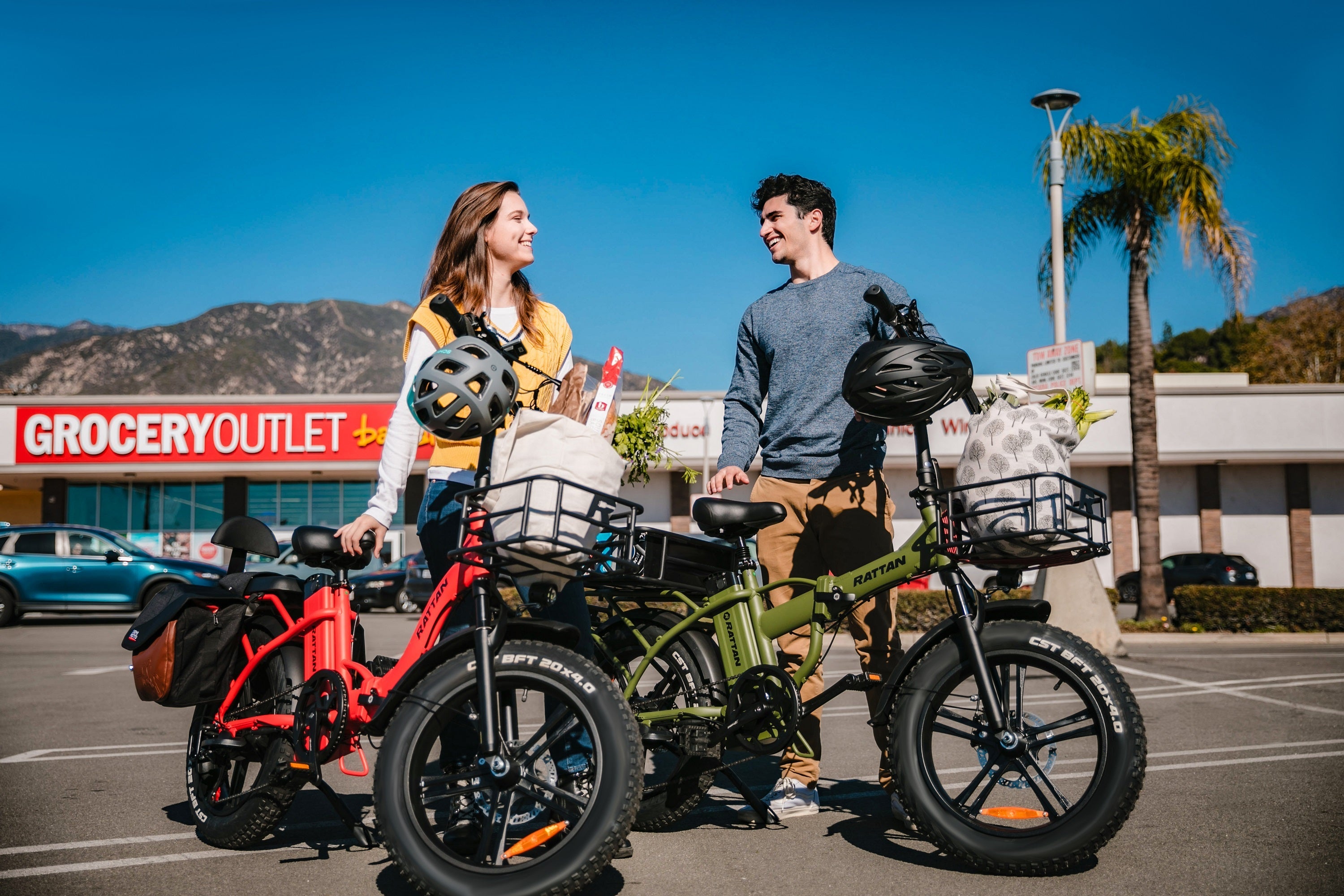 Rattan LF 750 Pro Step Thru Folding Fat Tire Electric Bike