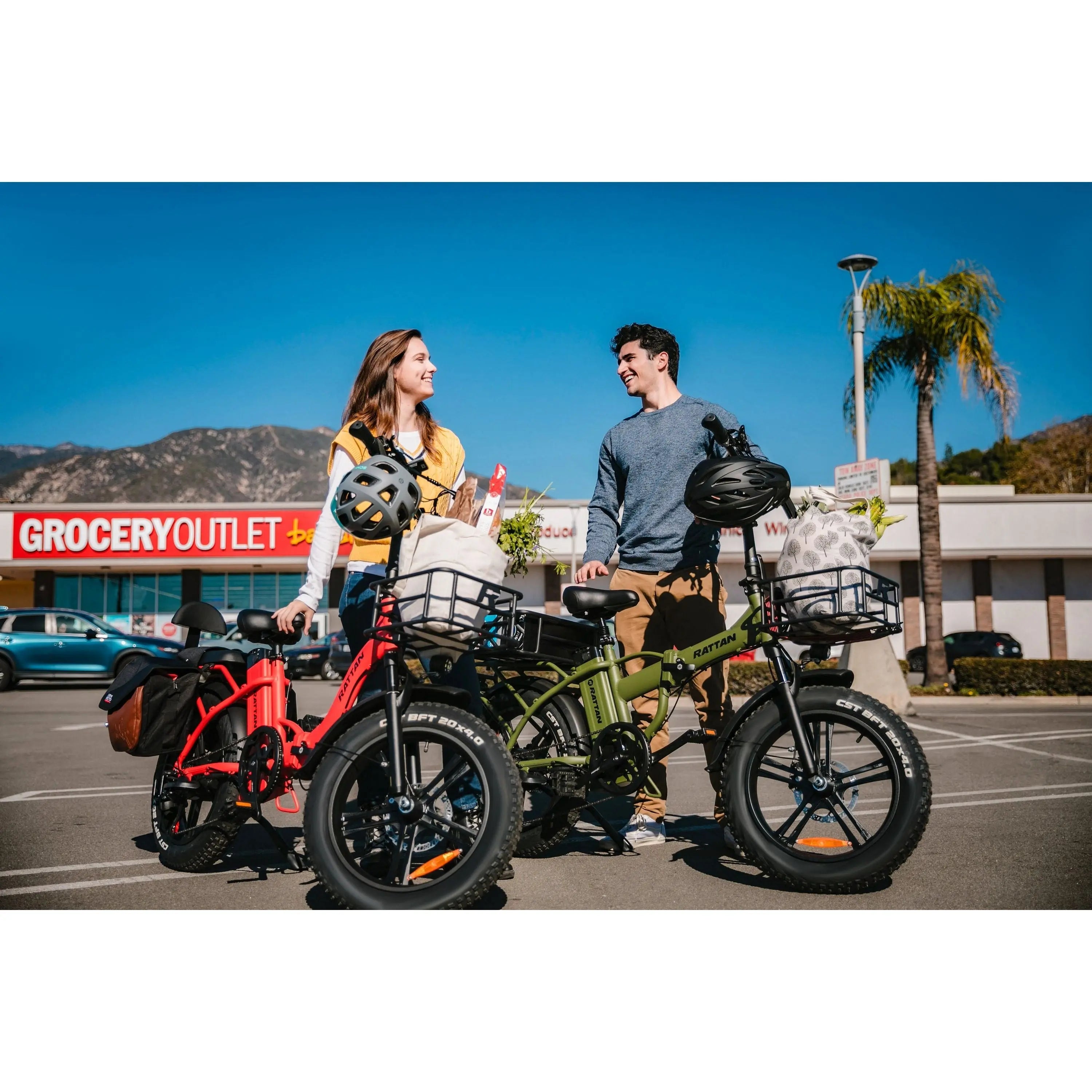 Rattan LF 750 Pro Step Thru Folding Fat Tire Electric Bike 