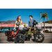 Rattan LF 750 Pro Step Thru Folding Fat Tire Electric Bike 