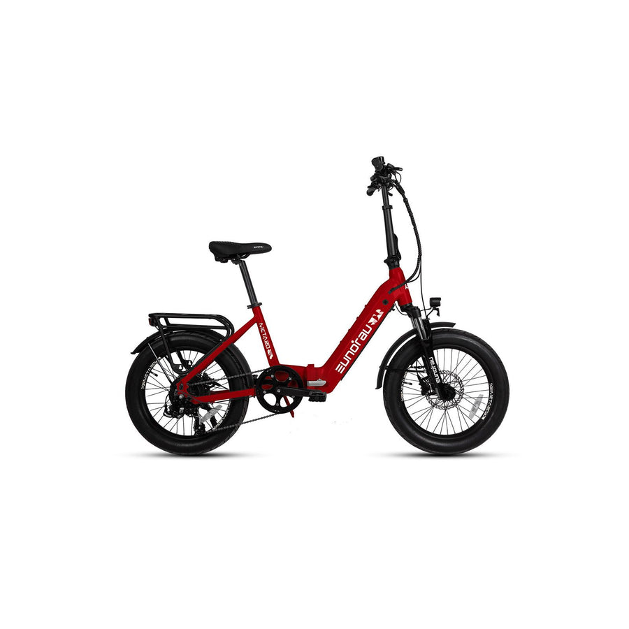 Eunorau Meta20 1.0 Electric City Bike
