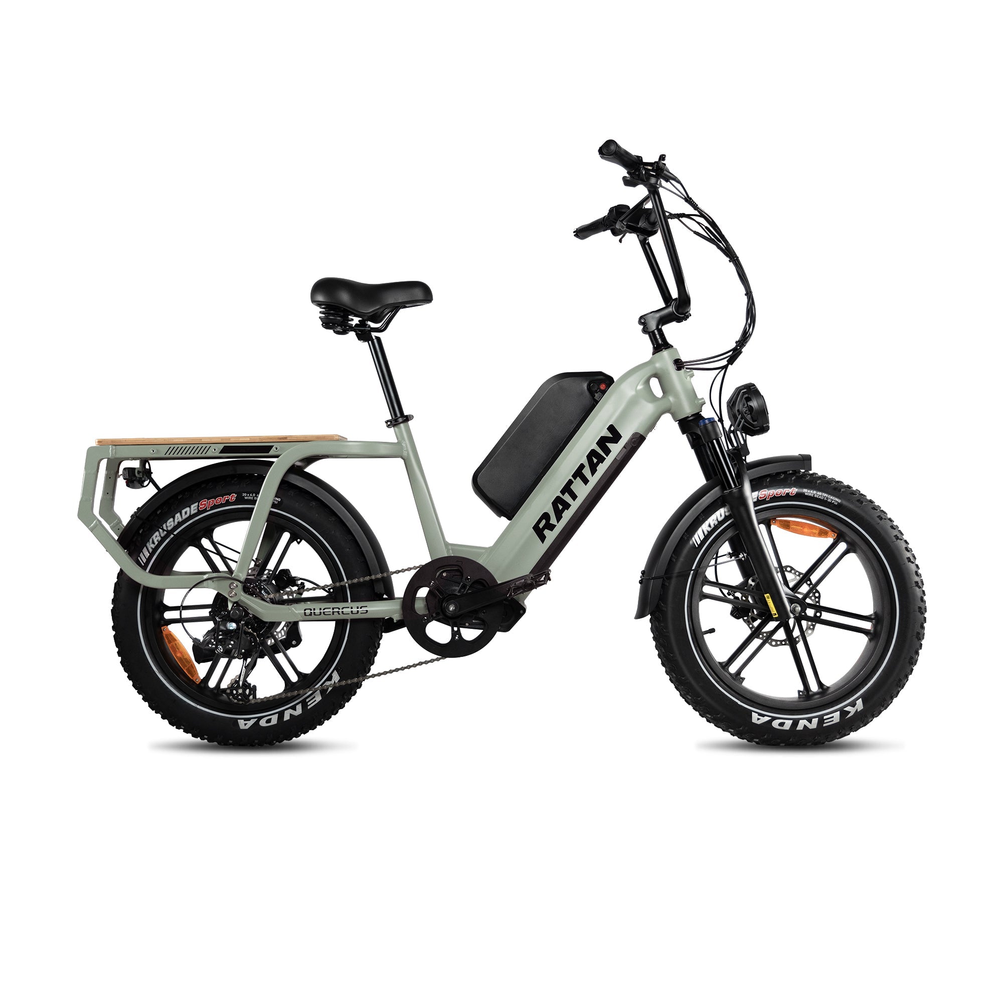 Rattan Quercus Step Thru Fat Tire Electric Cargo Bike