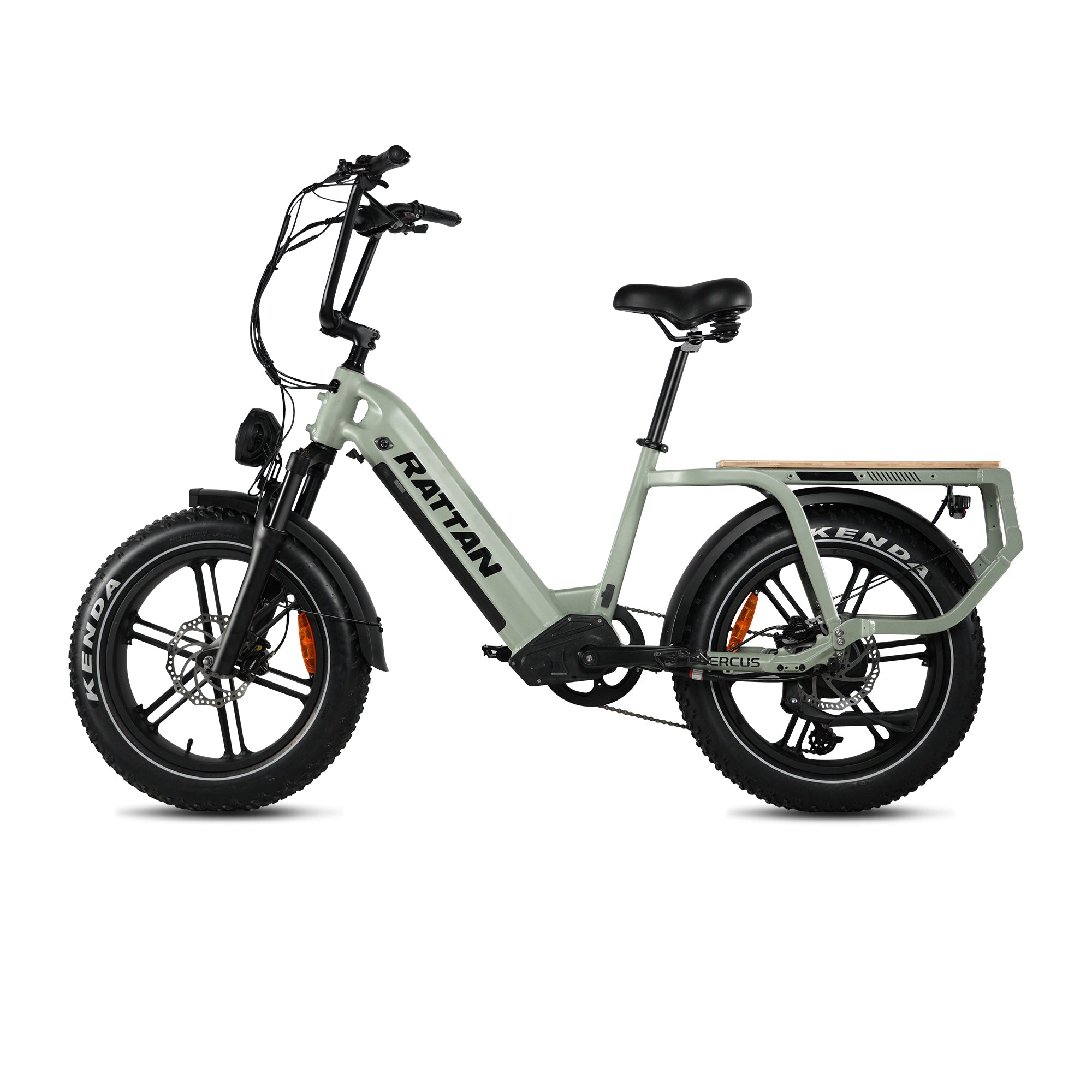 Rattan Quercus Step Thru Fat Tire Electric Cargo Bike