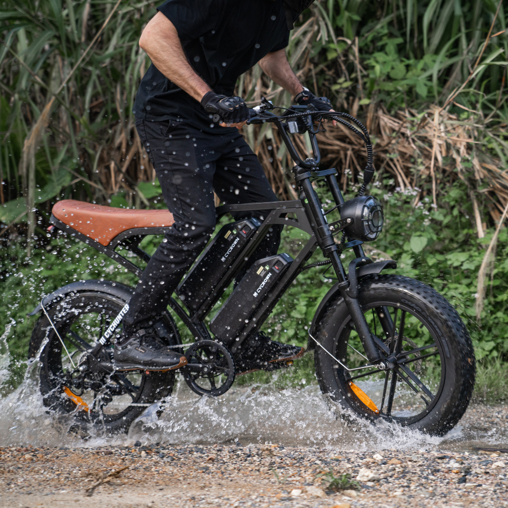 Cycrown CycHunter Moped-Style Electric Bike