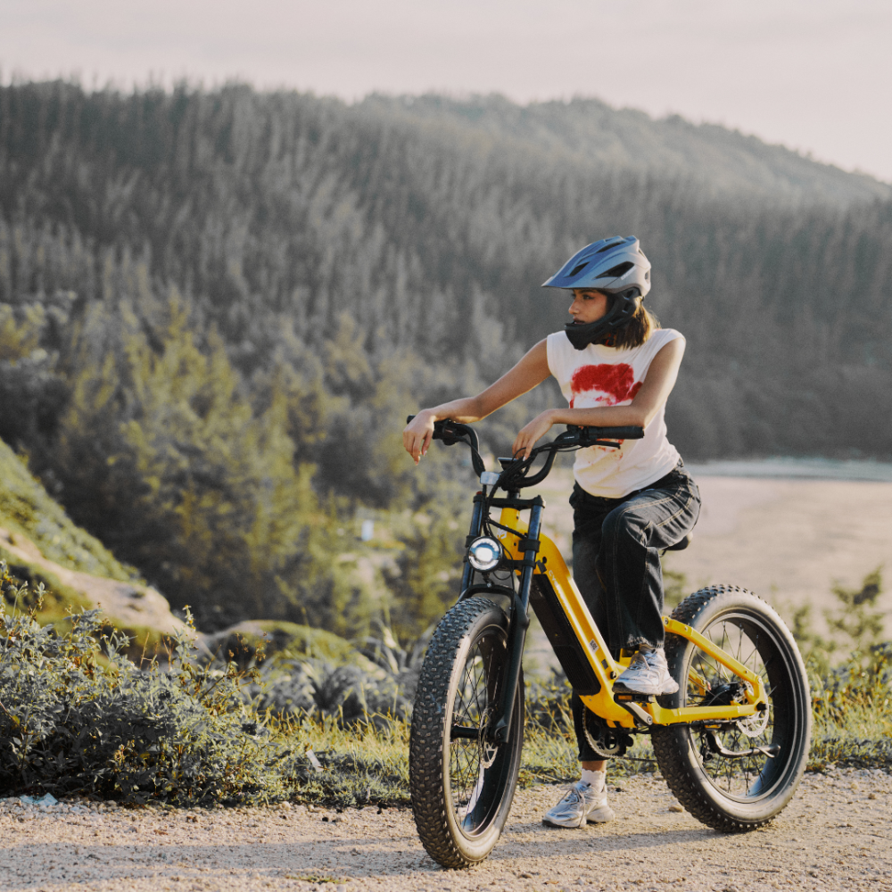 Cycrown Roma All-Terrain Fat Tire Electric Bike