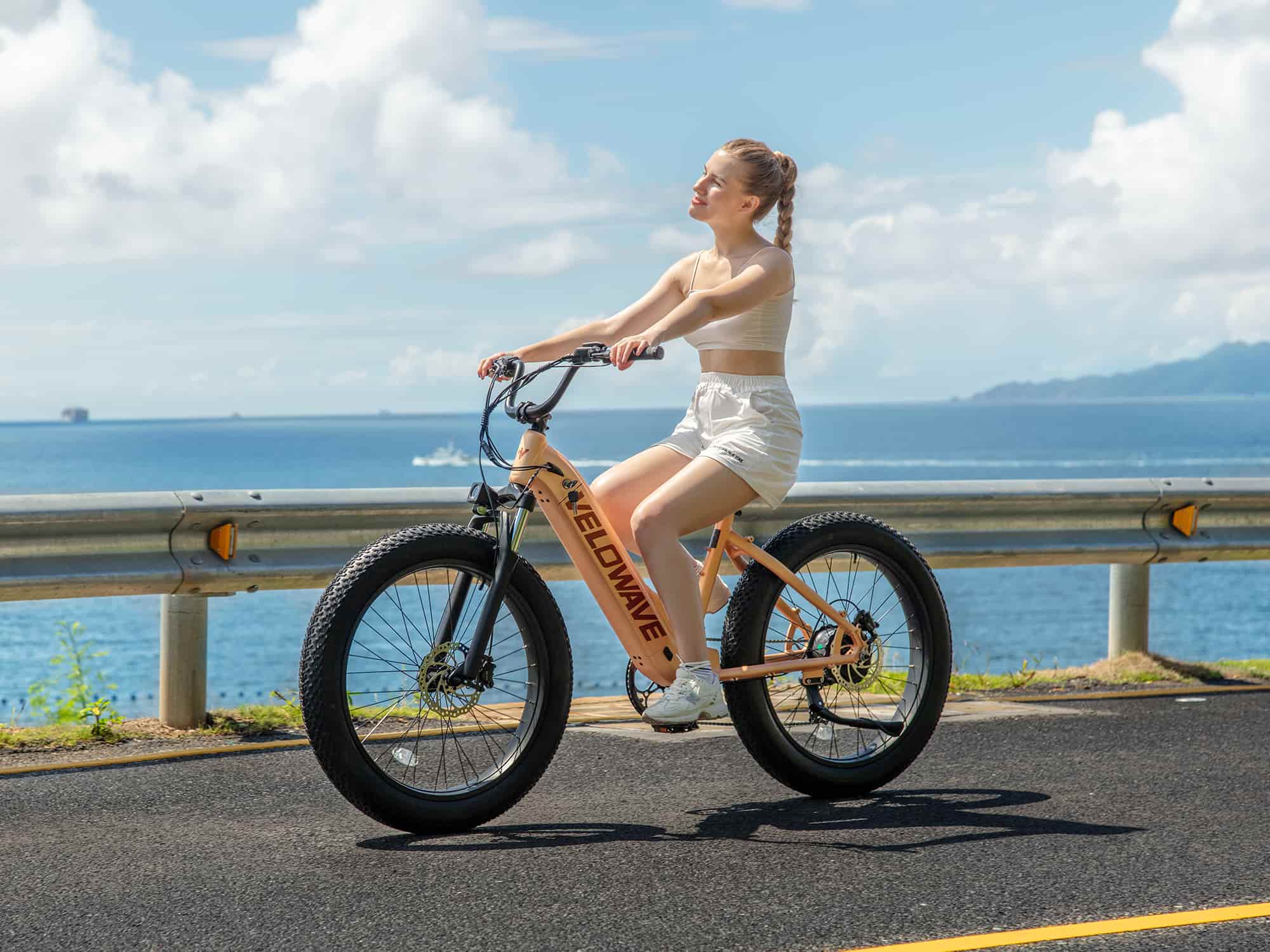 Velowave Rover Step Thru Electric Bike