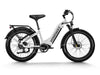 Himiway D5 Zebra Step-Thru Electric Fat Tire Bike  Electric Bikes Paradise