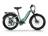 Himiway D5 Zebra Step-Thru Electric Fat Tire Bike  Electric Bikes Paradise