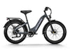 Himiway D5 Zebra Step-Thru Electric Fat Tire Bike  Electric Bikes Paradise