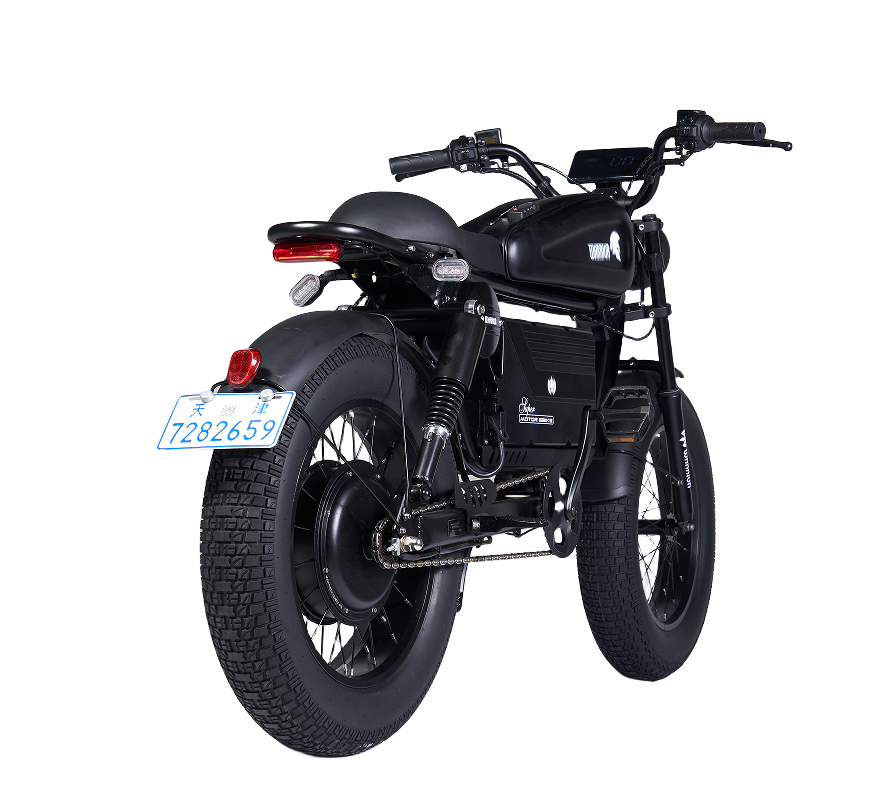 SoverSky Knight Black Warrior 1500W Fat Tire Electric Bike