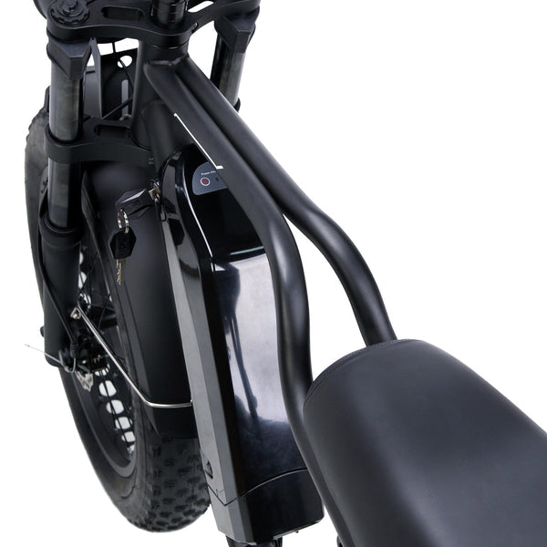 Nakto F2 Fat Tire Full Suspension Electric Bike