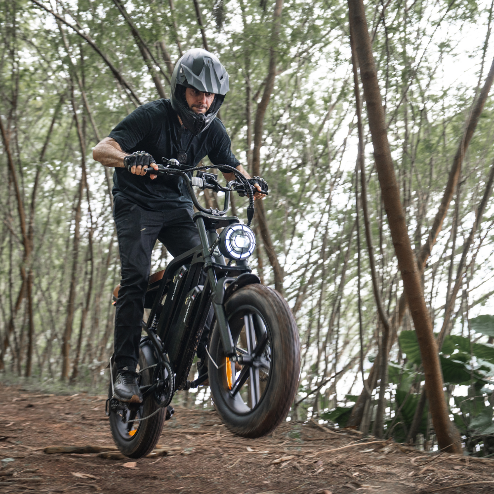 Cycrown CycHunter Moped-Style Electric Bike