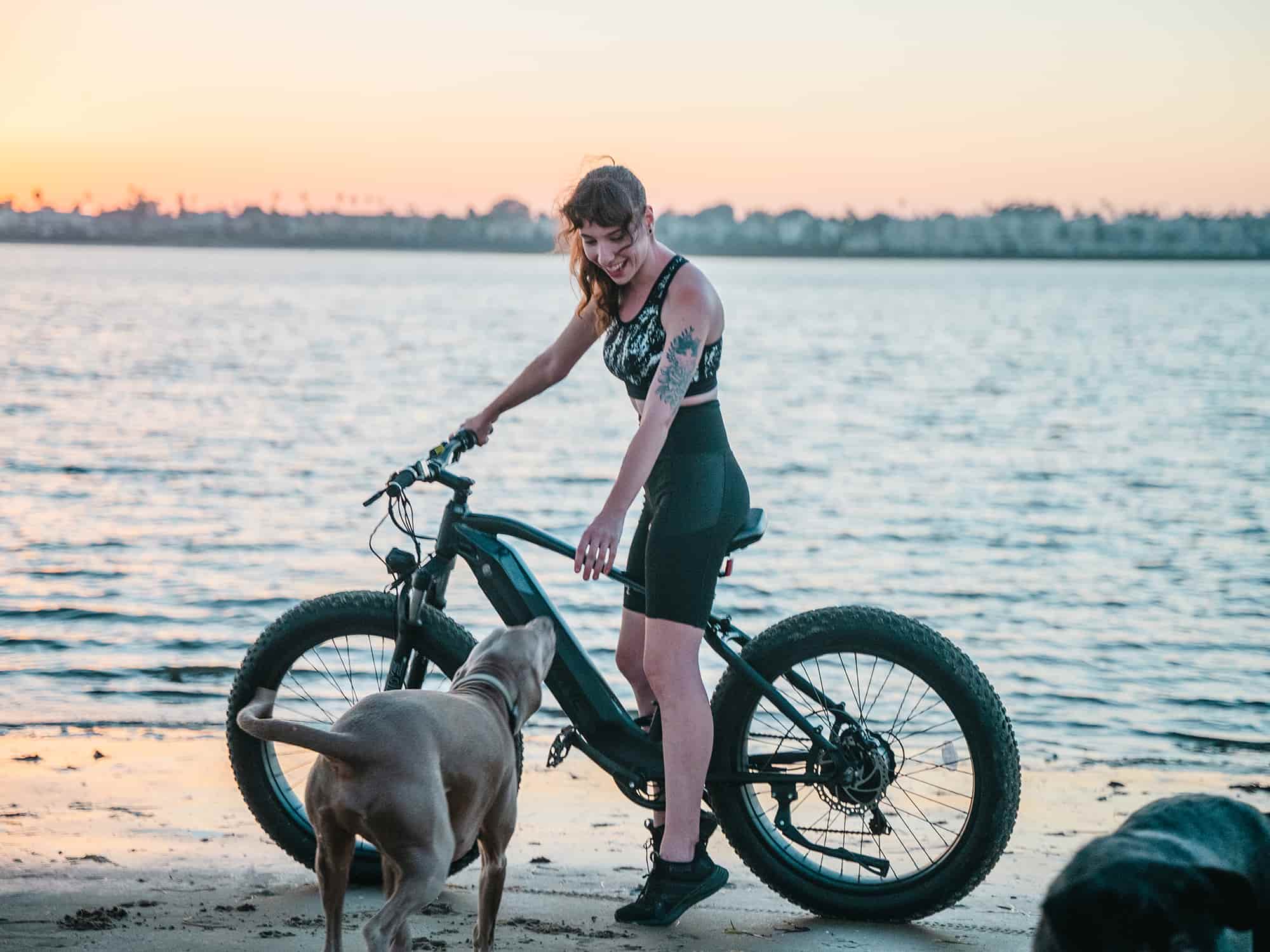 Velowave Ranger Fat Tire Electric Bike