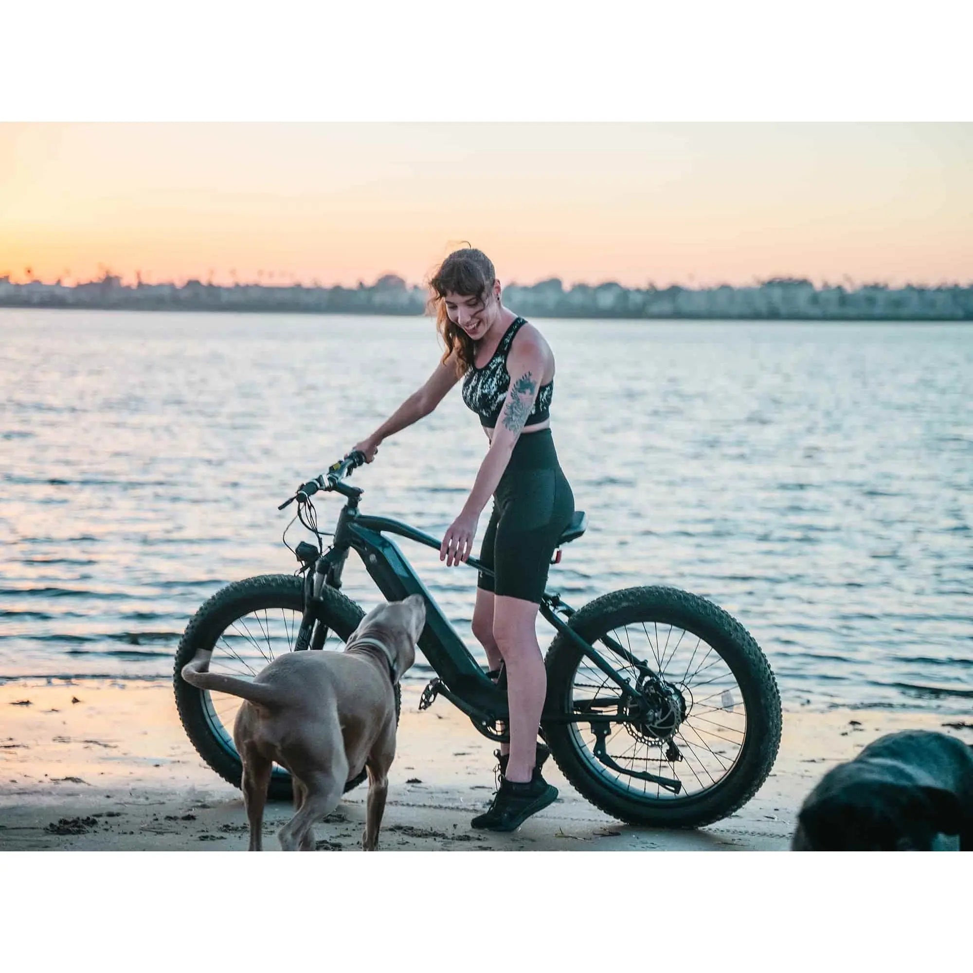 Velowave Ranger Fat Tire Electric Bike 