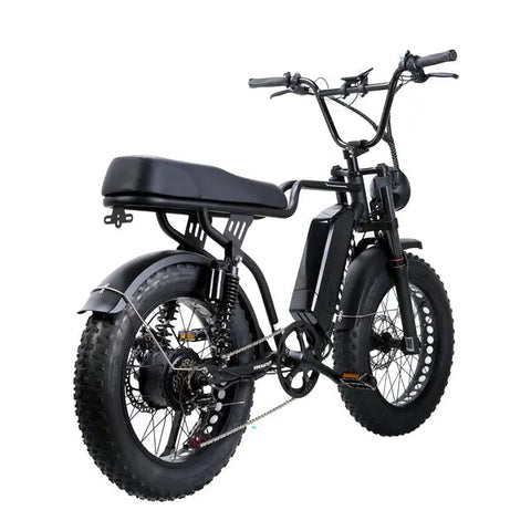 Nakto F2 Fat Tire Full Suspension Electric Bike