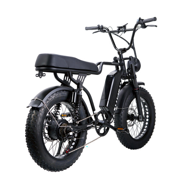 Nakto F2 Fat Tire Full Suspension Electric Bike