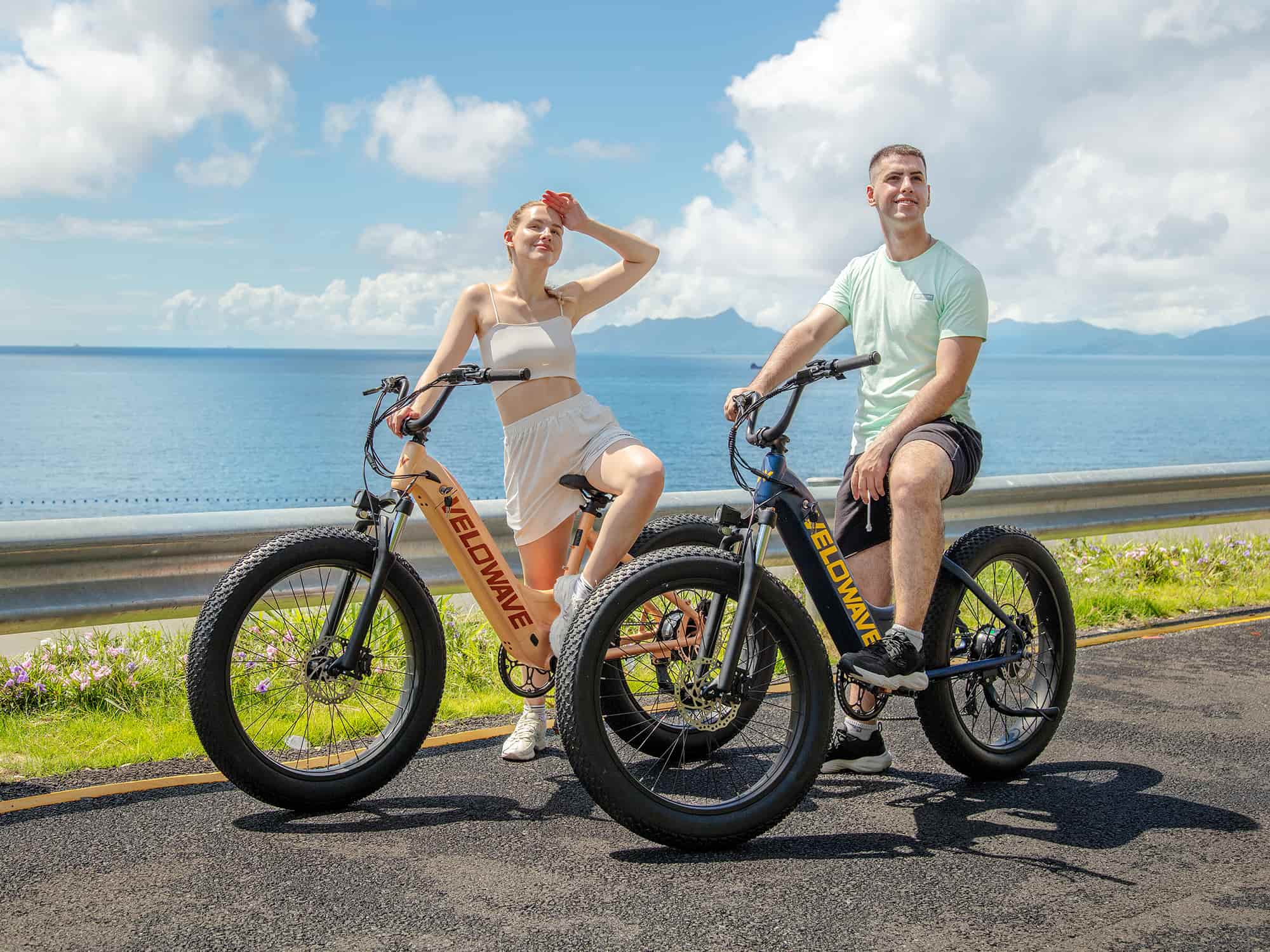 Velowave Rover Step Thru Electric Bike