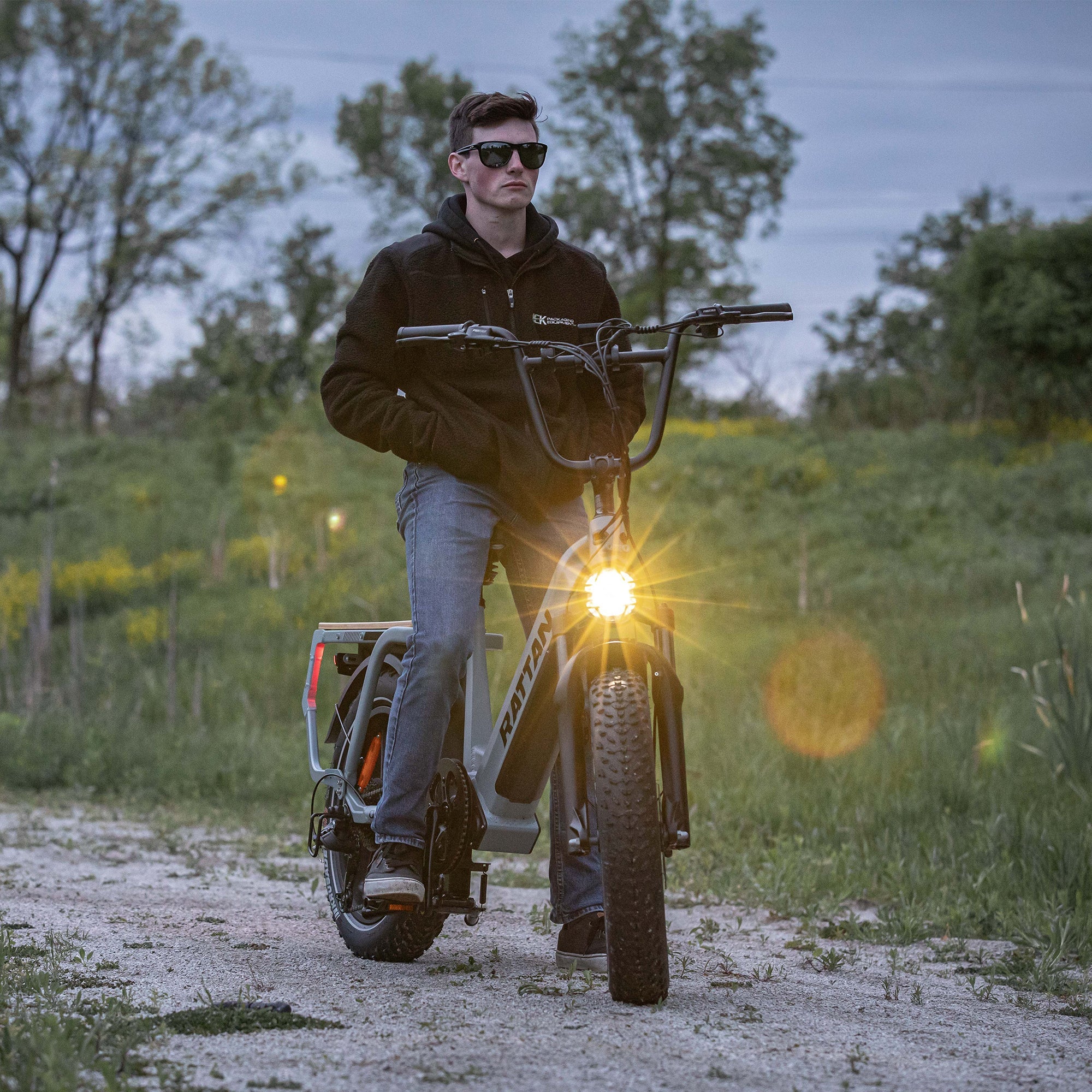 Rattan Quercus Step Thru Fat Tire Electric Cargo Bike