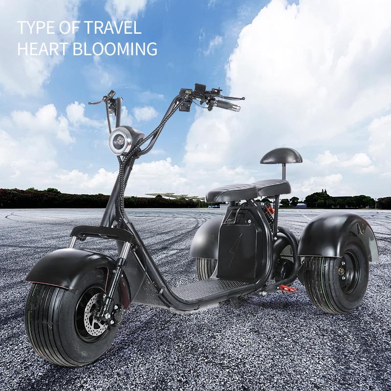 SoverSky T7.0 2000W 60V Electric Fat Tire 3-Wheel Trike Scooter