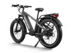 Himiway D5 Zebra Electric Fat Tire Bike  Electric Bikes Paradise