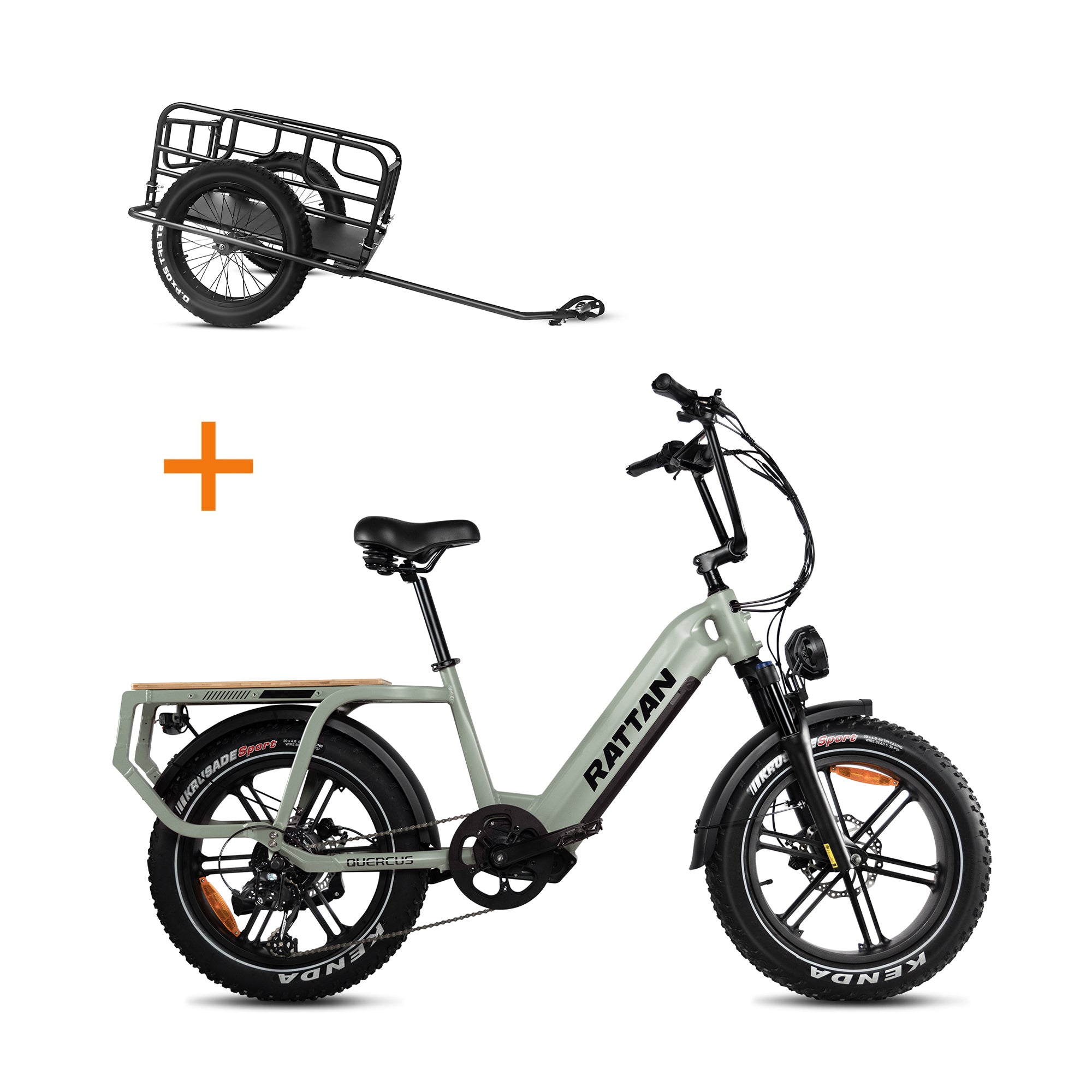 Rattan Quercus Step Thru Fat Tire Electric Cargo Bike