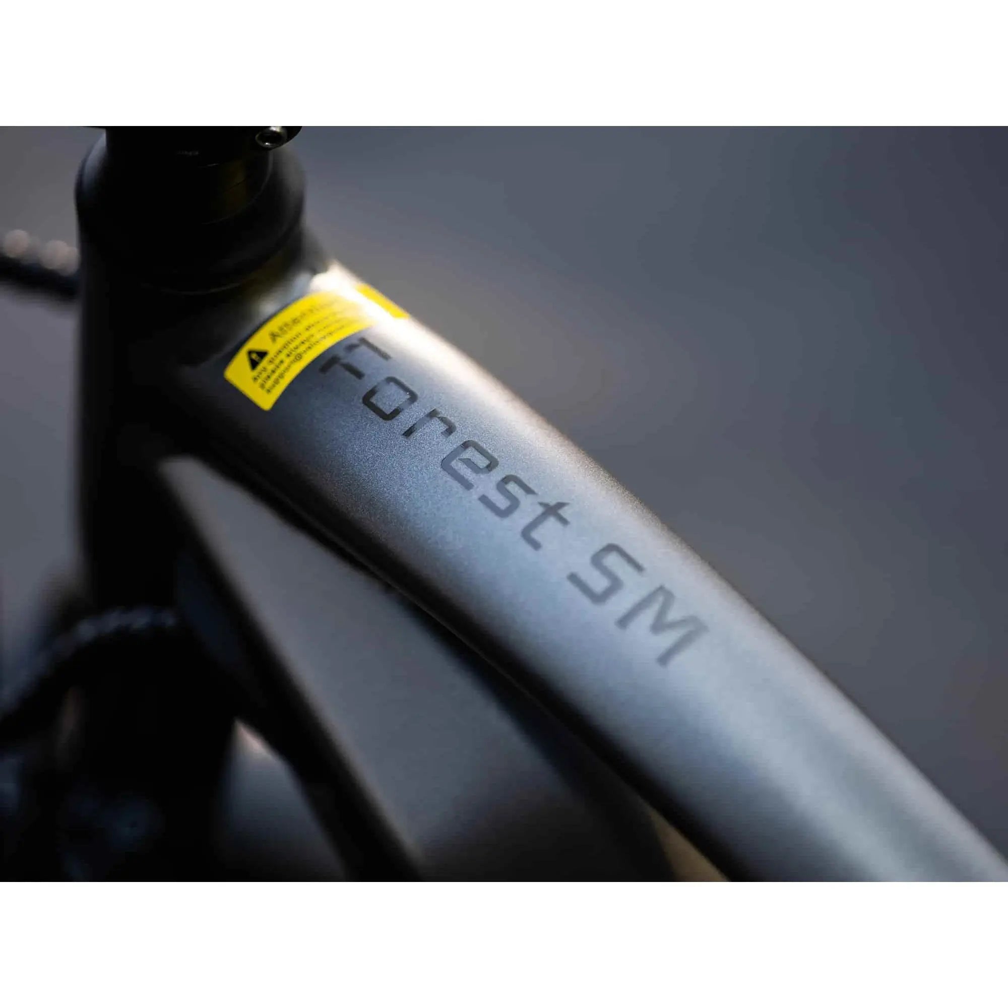 Velowave Forest SM Full Suspension Electric Mountain Bike 