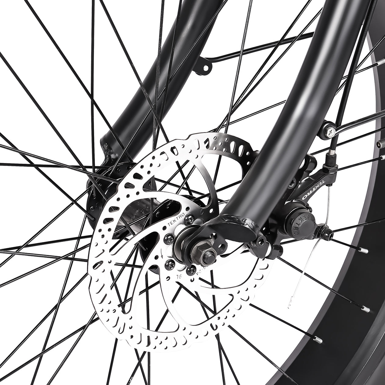 Tracer Loiter 800W 48V Fat Tire Electric Cruiser Bike