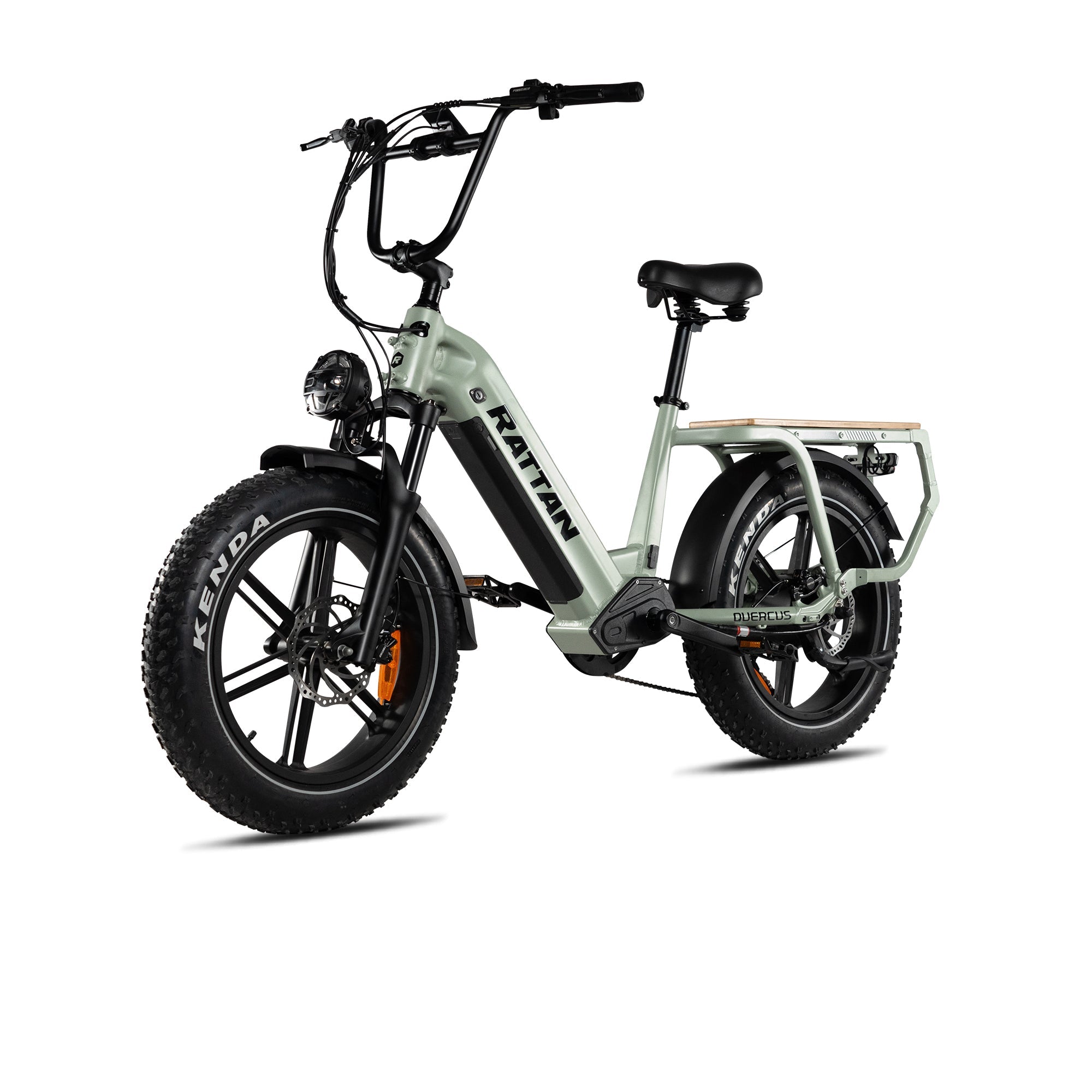 Rattan Quercus Step Thru Fat Tire Electric Cargo Bike