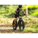 Velowave Ranger Fat Tire Electric Bike 