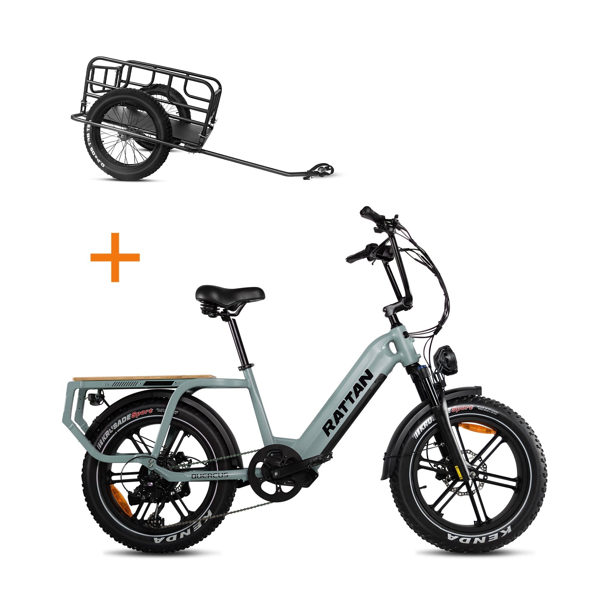 Rattan Quercus Step Thru Fat Tire Electric Cargo Bike