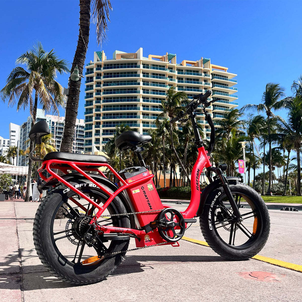 Rattan LF Ultra Step Thru Folding Fat Tire Electric Bike