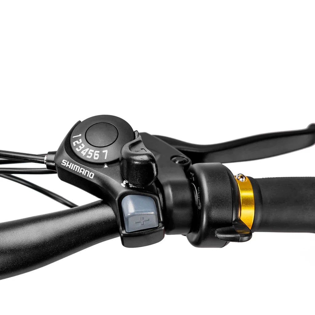 Nakto Cruiser 2 Fat Tire Electric Bike