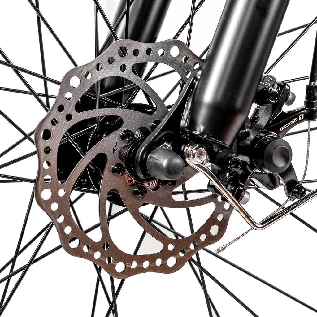 Nakto Cruiser 2 Fat Tire Electric Bike