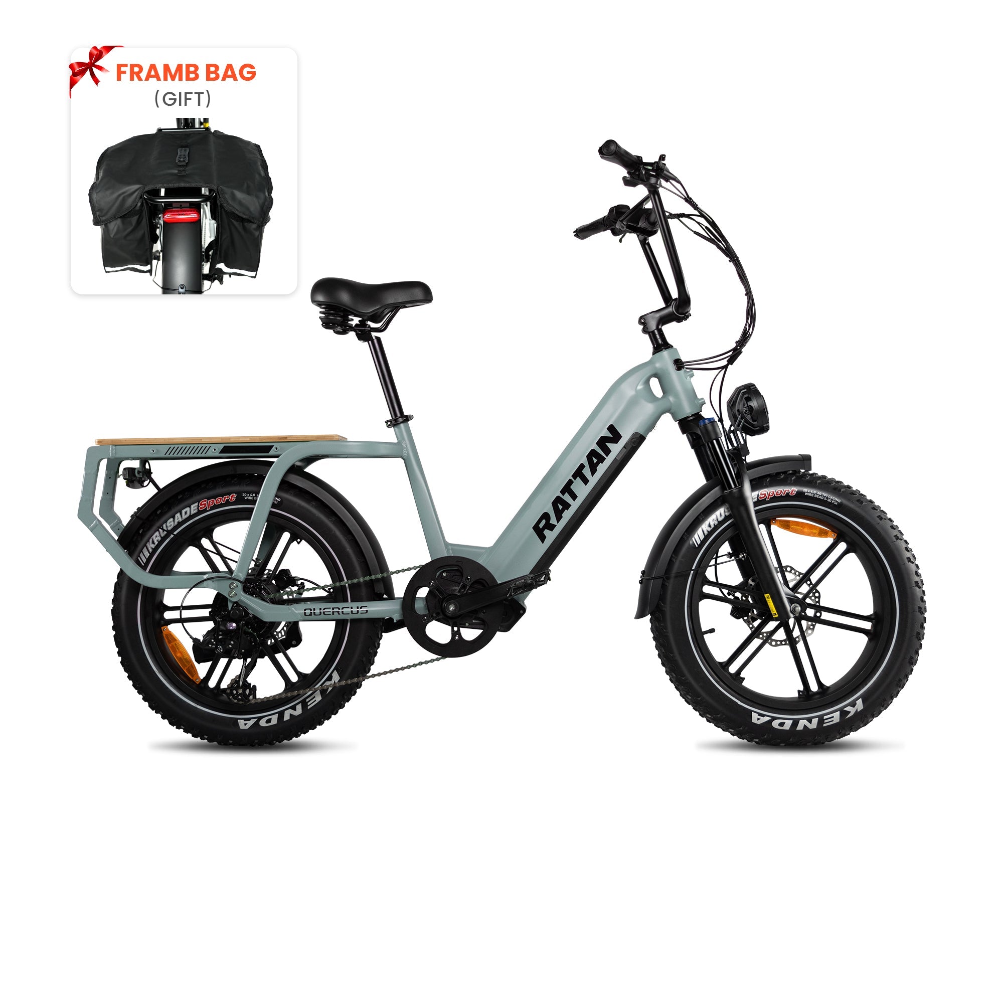 Rattan Quercus Step Thru Fat Tire Electric Cargo Bike