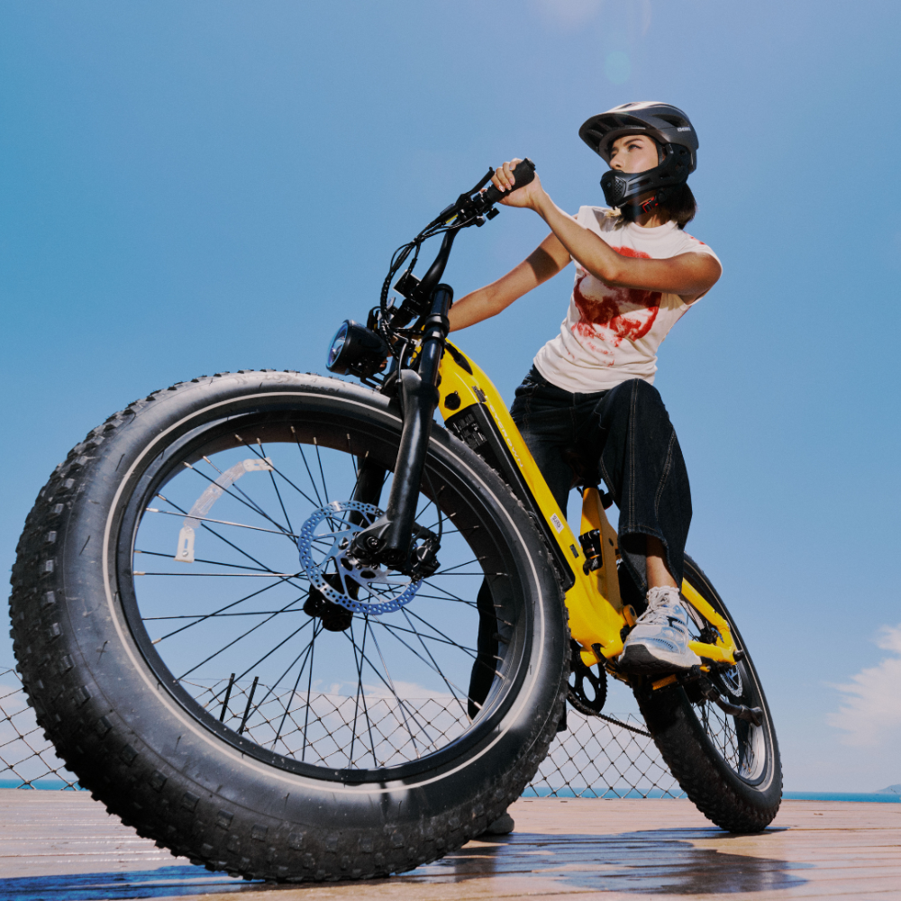 Cycrown Roma All-Terrain Fat Tire Electric Bike