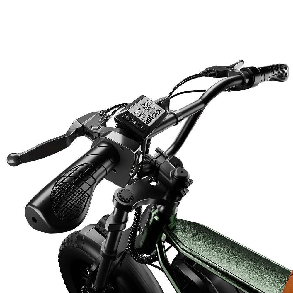 Cycrown CycRun Vintage Moped Electric Bike