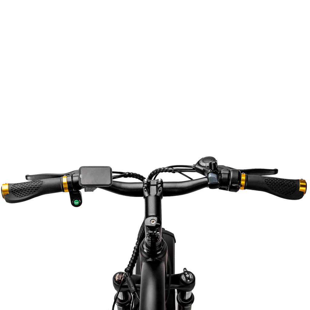 Nakto Cruiser 2 Fat Tire Electric Bike